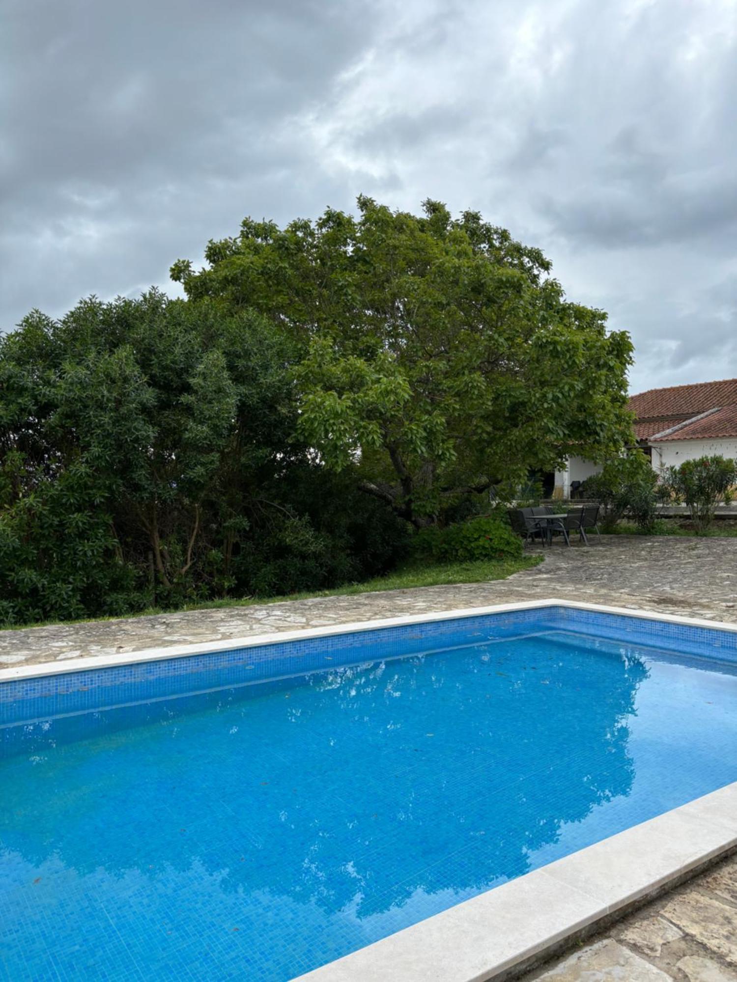 Casa Da Nogueira Villa Томар Екстериор снимка