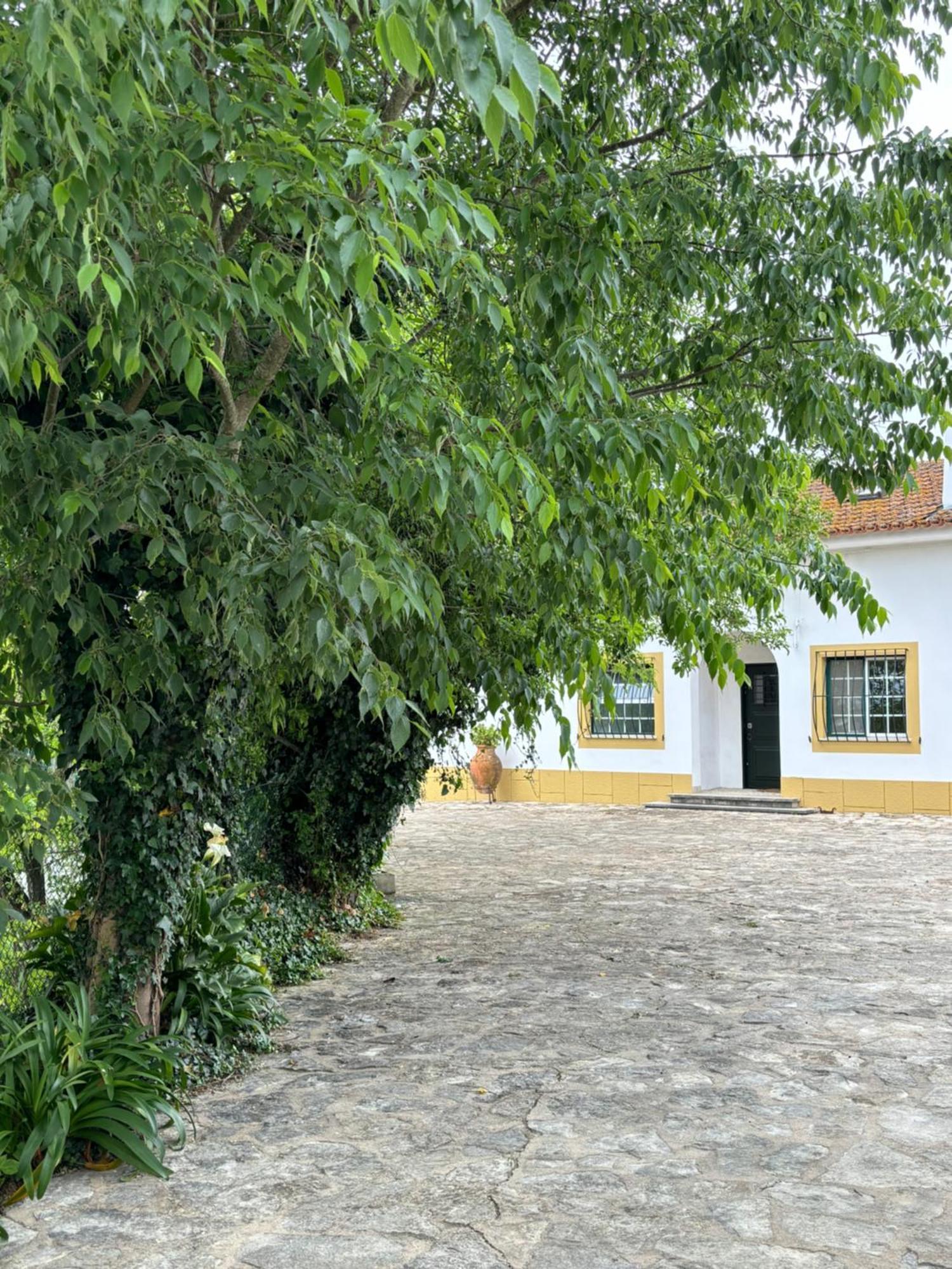 Casa Da Nogueira Villa Томар Екстериор снимка